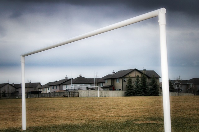 足球曼联新援首秀即破门，球迷高呼：值了！