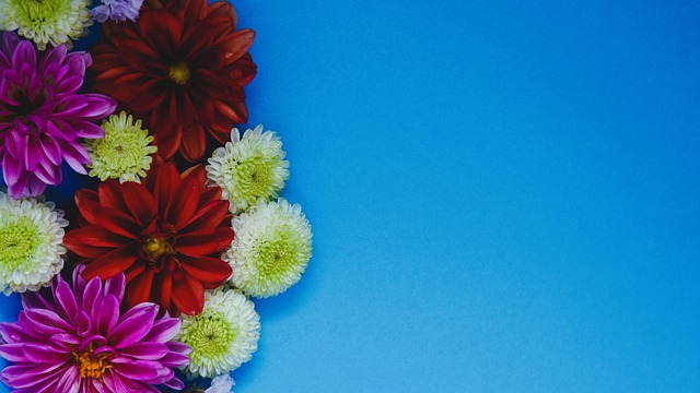 都灵旧将：莫德里奇总能带来不同，莱奥一个动作就能决定比赛