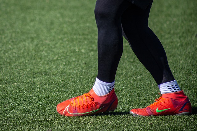 近年来备受 近年来备受