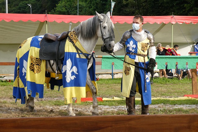 能和决策提 能和决策提