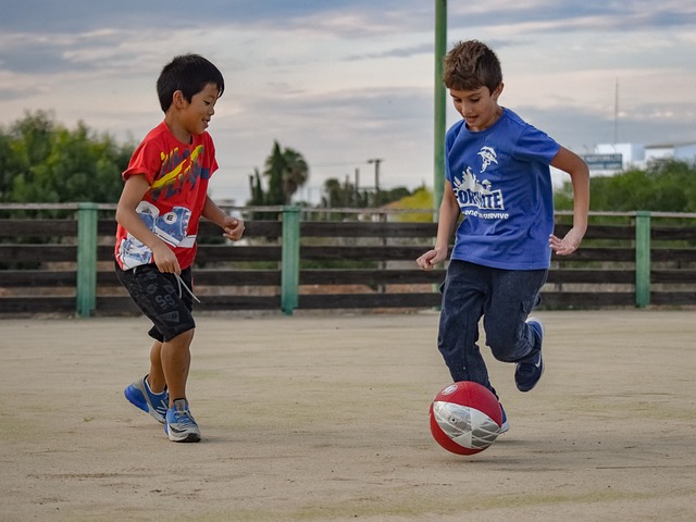 国际舞台上 国际舞台上