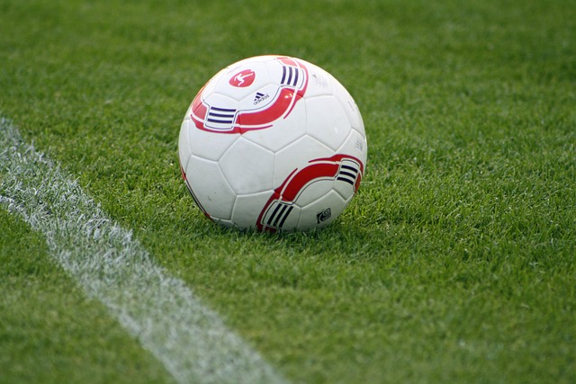 更得益于她 更得益于她