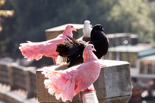 第三节过后 第三节过后