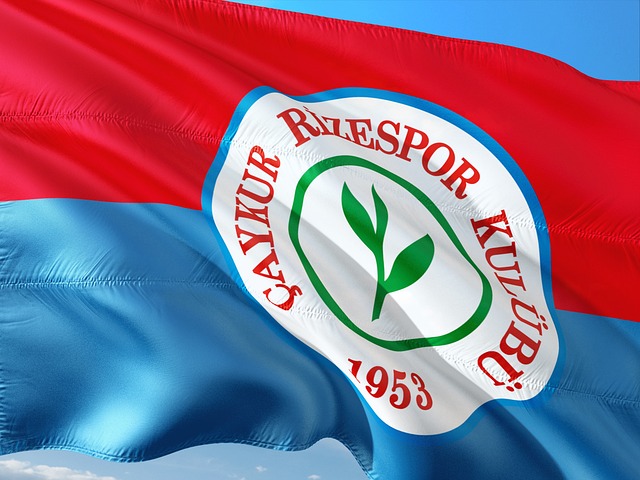 成了全方位 成了全方位