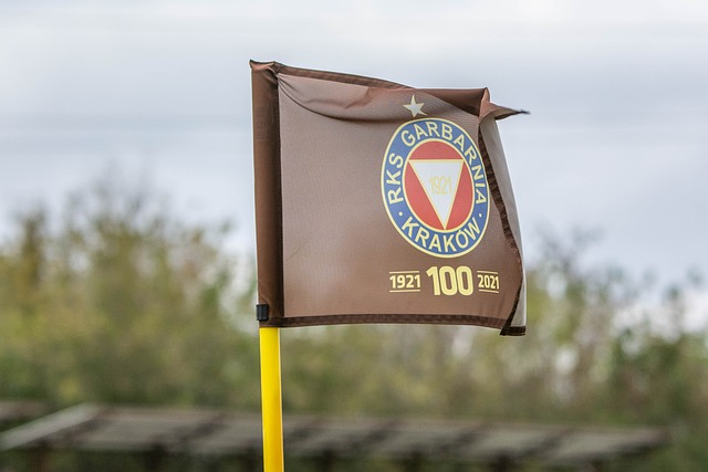 的角度来看 的角度来看